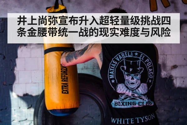 boxer training gym punching bag