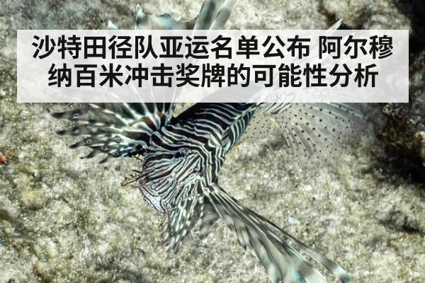 沙特田径队亚运名单公布 阿尔穆纳百米冲击奖牌的可能性分析